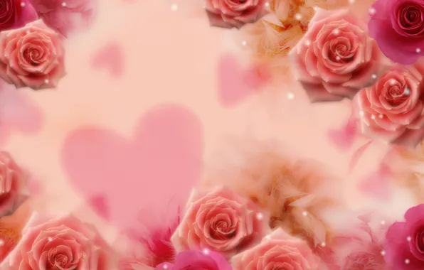 Flower, flowers, background, heart, roses, sequins, heart