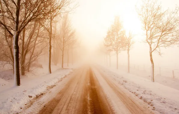 Road, snow, fog