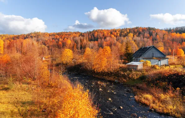 Autumn, forest, the sky, clouds, light, trees, house, river