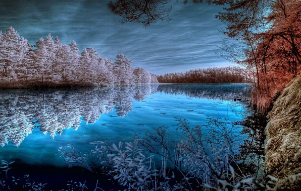 FOREST, The SKY, CLOUDS, REFLECTION, POND, SURFACE, SHORE, TREES