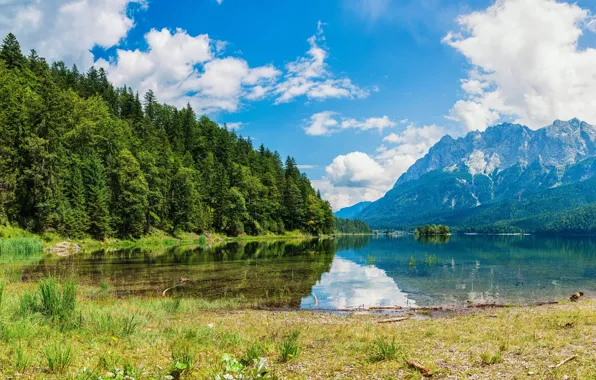 Forest, the sky, grass, the sun, clouds, trees, mountains, lake