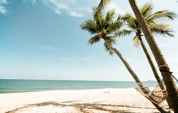 Sea, beach, summer, nature, tropics, Tropics, Palm trees