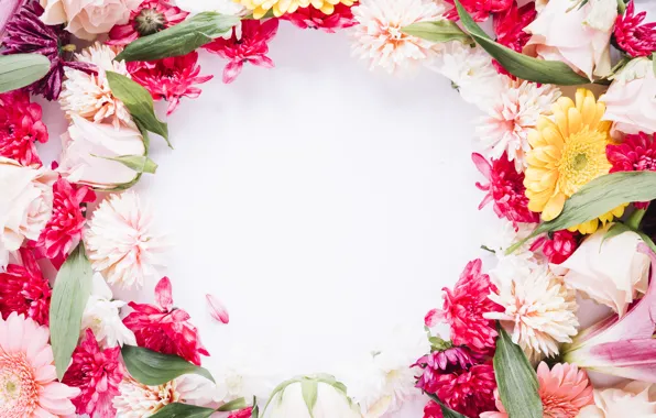 Picture flowers, frame, colorful, pink, flowers, frame, floral