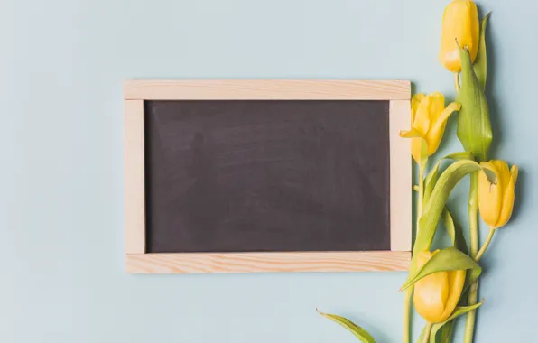 Flowers, yellow, Board, bouquet, spring, frame, tulips, fresh