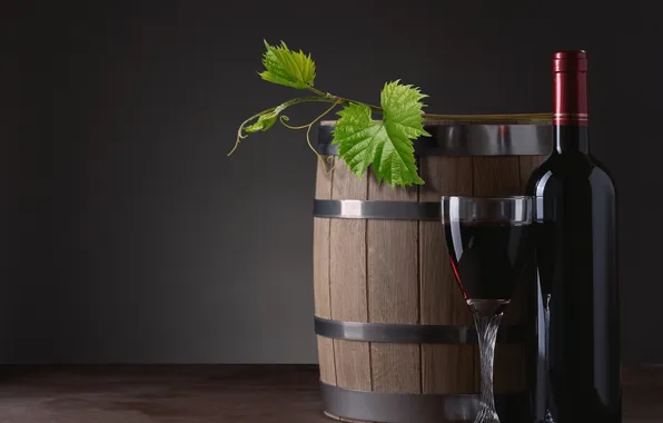 Wine, red, glass, bottle, barrel, vine