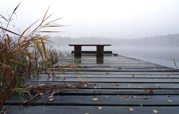 Picture bridge, reed, bench