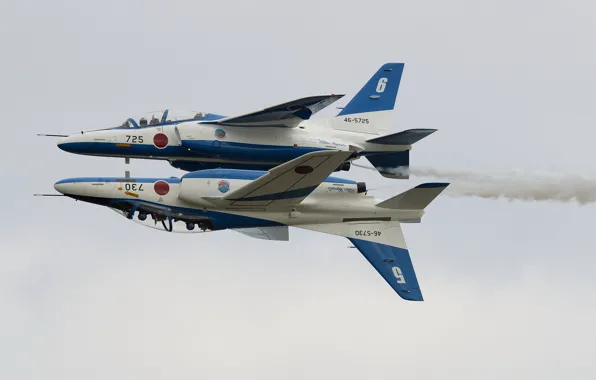 Holiday, group, pair, show, flight, Blue Impulse, Kawasaki T-4