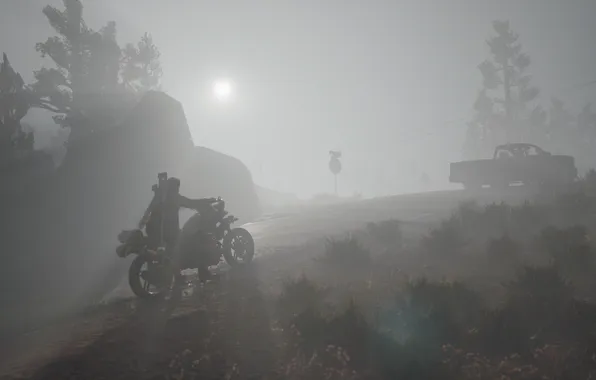 Road, fog, stones, motorcycle, male, biker, postapokalipsis, computer game