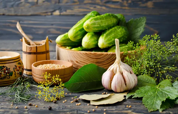 Picture spices, Cucumbers, Garlic, Dill