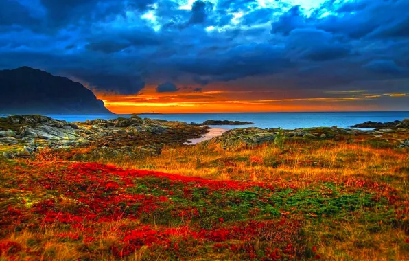 Picture GRASS, MOUNTAINS, HORIZON, The OCEAN, The SKY, FLOWERS, SUNSET, CLOUDS