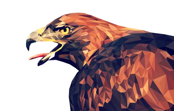 Bird, triangles, portrait, head