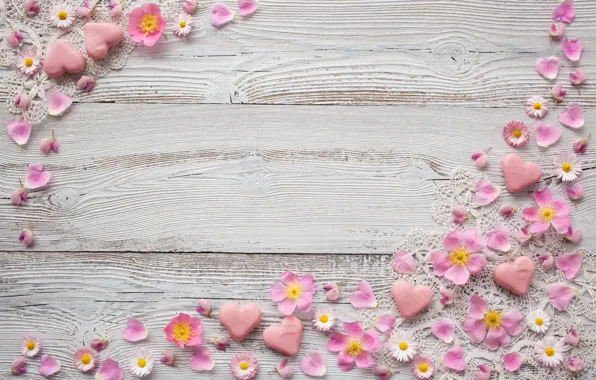 Flowers, chamomile, petals, hearts, heart, pink, decor, decoration