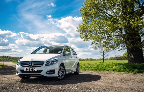 Picture the sky, grass, clouds, light, tree, Mercedes-Benz, day, Mercedes