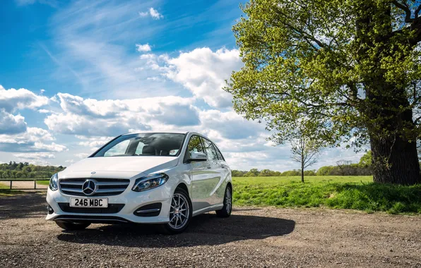 The sky, grass, clouds, light, tree, Mercedes-Benz, day, Mercedes