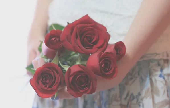 Leaves, girl, flowers, background, roses, hands, red, wallpapers