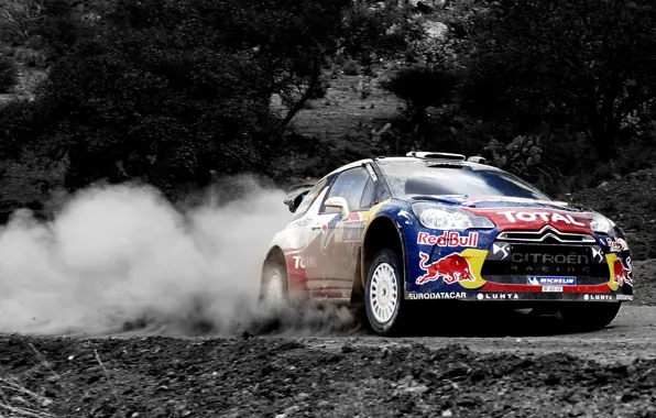 Picture Dust, Sport, Machine, Speed, Citroen, Citroen, Red Bull, DS3, WRC, Rally, Rally