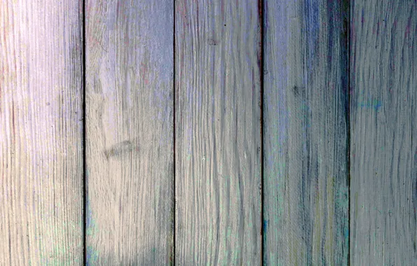 Tree, structure, wood