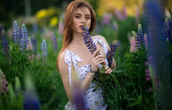 Girl, flowers, pose, hands, long hair, sundress, lupins, Dmitry Shulgin