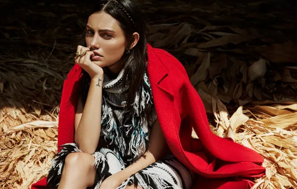 Picture actress, Phoebe Tonkin, Phoebe Tonkin