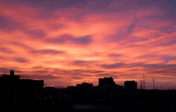 Clouds, birds, lights, dawn, wire, building, Red, Winter