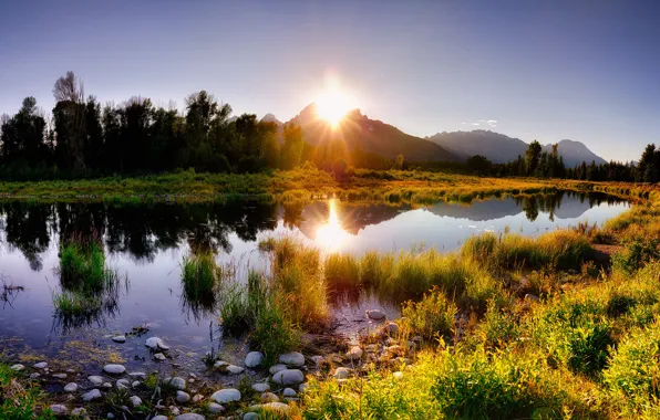 Picture forest, grass, the sun, light, mountains, lake, shore, the evening