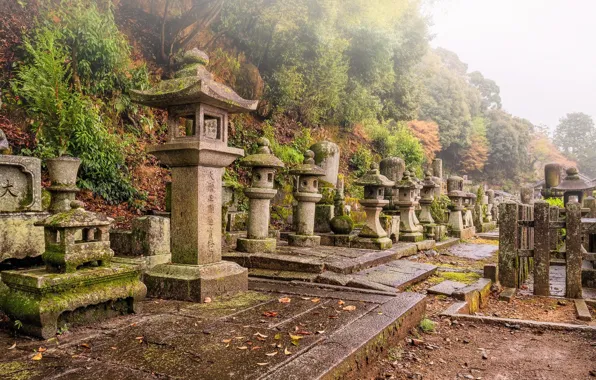 Picture Japan, Kyoto, chapel, the houses of the gods