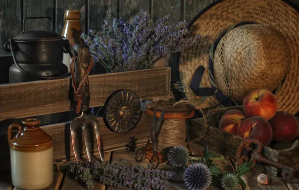 Flowers, hat, key, still life, peaches, lavender, coil, cans