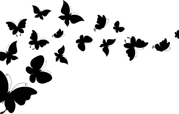 White, butterfly, background, wings, silhouettes