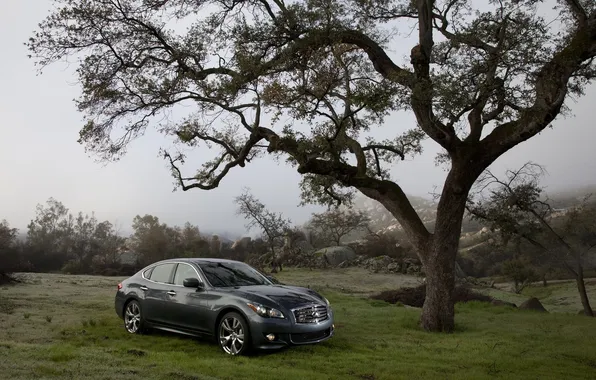 Trees, mountains, fog, car Wallpaper, photo auto, Infiniti M 2012