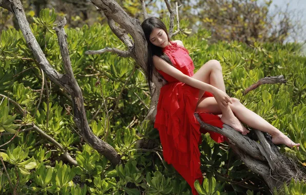 Trees, dress, legs, in red, East, Brode十三