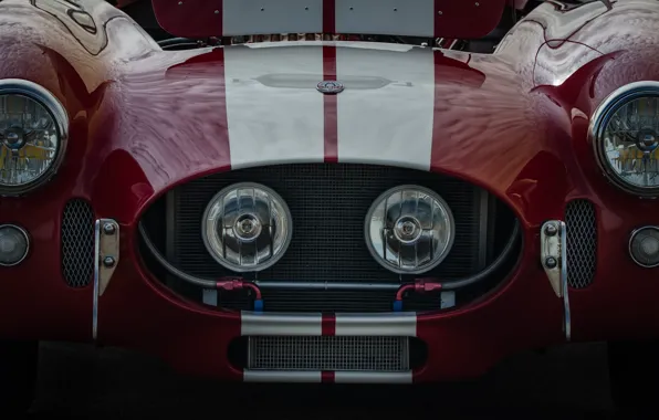 Shelby, the front, Cobra