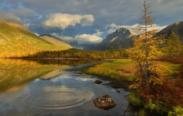 Autumn, forest, clouds, mountains, lake, reflection, shore, spruce