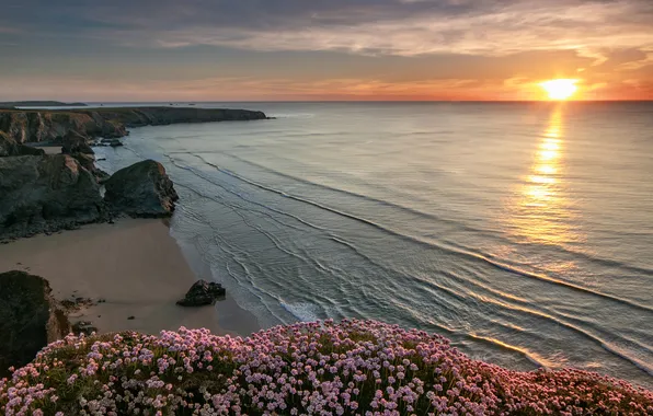 Sea, wave, the sky, the sun, clouds, sunset, flowers, rocks