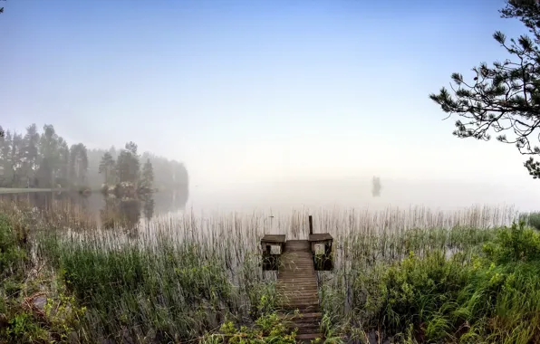 Bridge, fog, lake