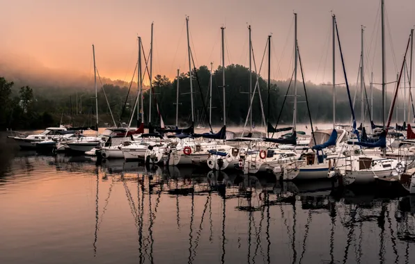 Picture fog, lake, yachts, morning