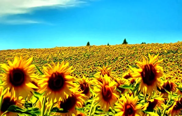 Field, summer, the sky, color, sunflowers, yellow, rendering, blue