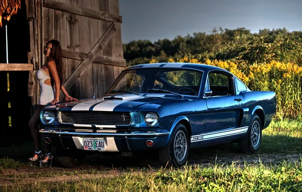 Girl, Shelby, Ford Mustang, 1966, Muscle car, GT350