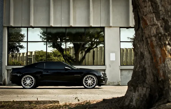 Reflection, tree, chevrolet camaro ss