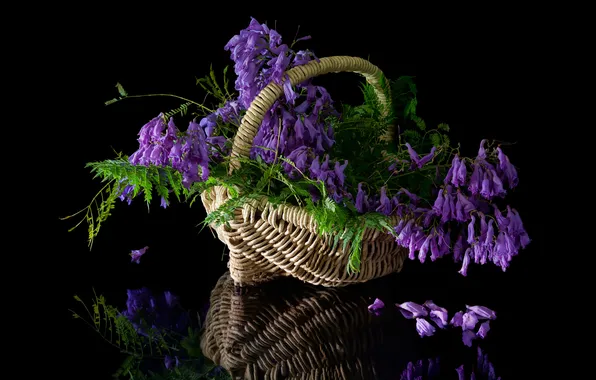 Picture leaves, flowers, basket, bouquet, flowering