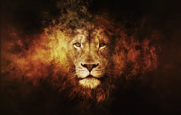 Picture Leo, Fantasy, animals, lion