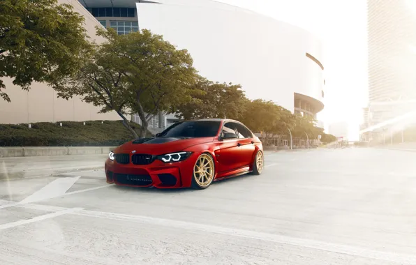 Picture BMW, City, Red, F80, M3