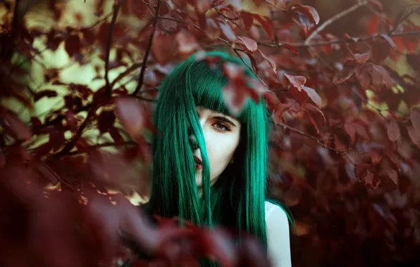 Background, hair, color, model look