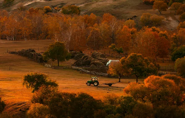 Field, autumn, forest, light, trees, nature, hills, the slopes