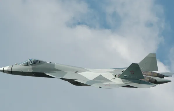 The sky, the plane, fighter, Multipurpose, fifth generation, supersonic, PAK FA T-50