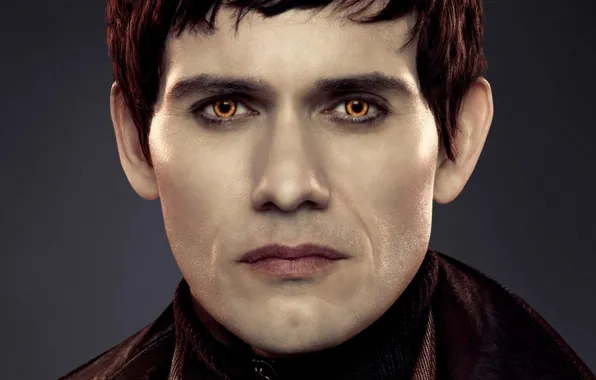 Vampire, The Twilight Saga Dawn, The Twilight Saga Breaking Dawn - Part 2