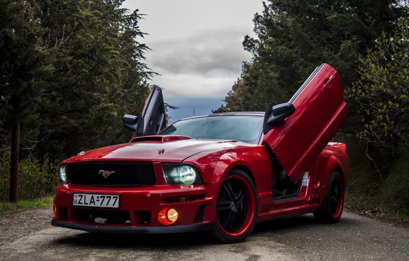 Road, forest, red, tuning, Ford, door, the hood, red