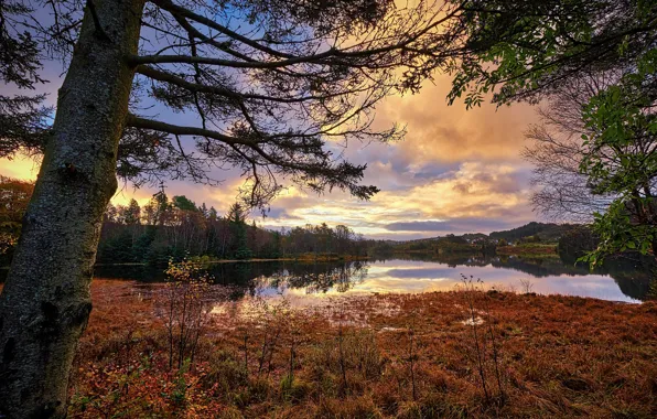 Picture autumn, Norway, Norway, Rogaland