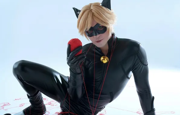 Cat, tangle, guy, cosplay, blonde, cosplay, Lady Bug and Super cat, Grayson