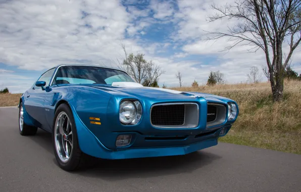 Picture blue, 1970, pontiac, Trans Am