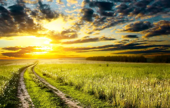 Picture road, the sky, grass, the sun, clouds, sunset, nature, photo